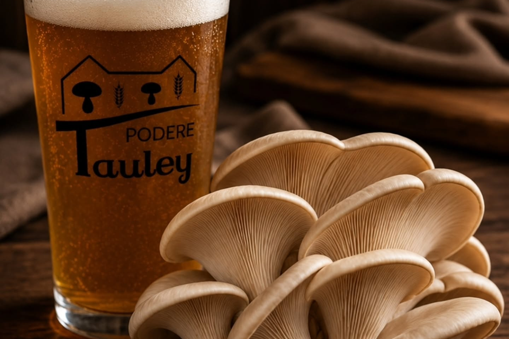 Funghi e Birra